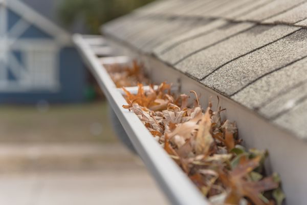 Leaf Barrier Installation in Strongsville