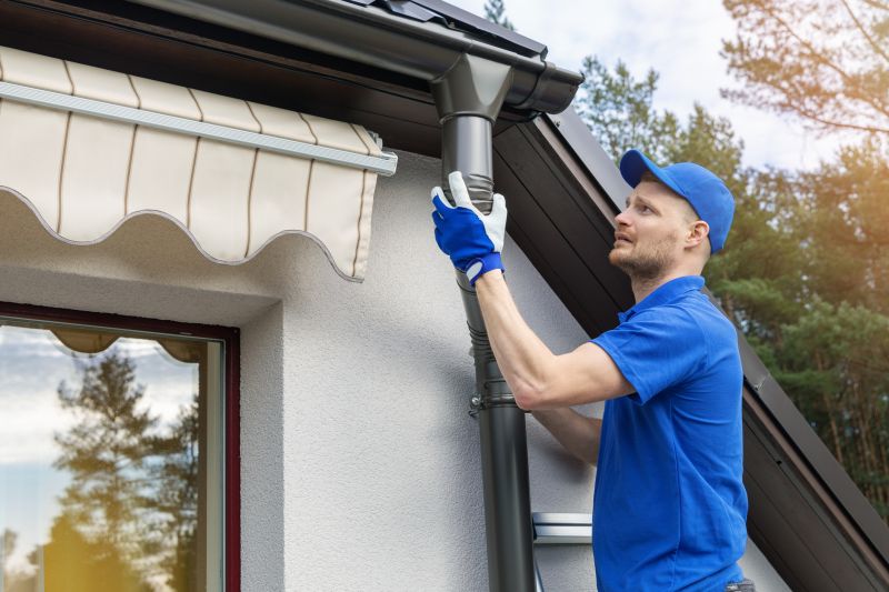 Professional Gutter Cover Inspection
